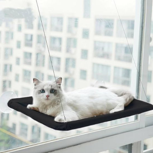 hamac chat fenetre beige et ludique
