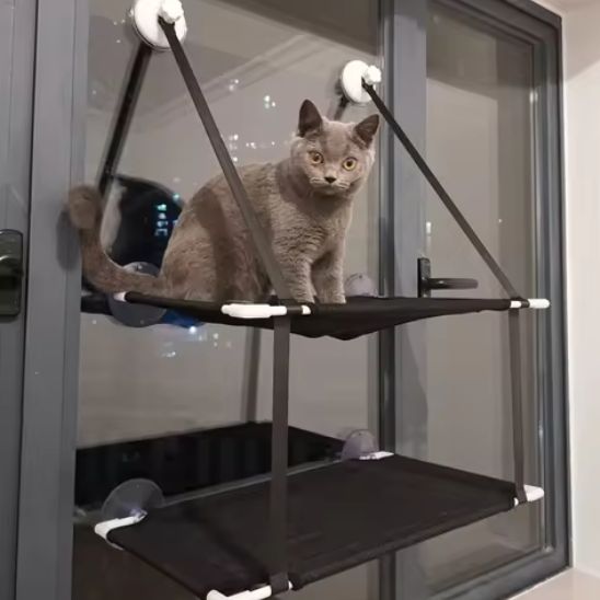 hamac chat fenetre double avec un chat gris dessus en hauteur de couleur noir