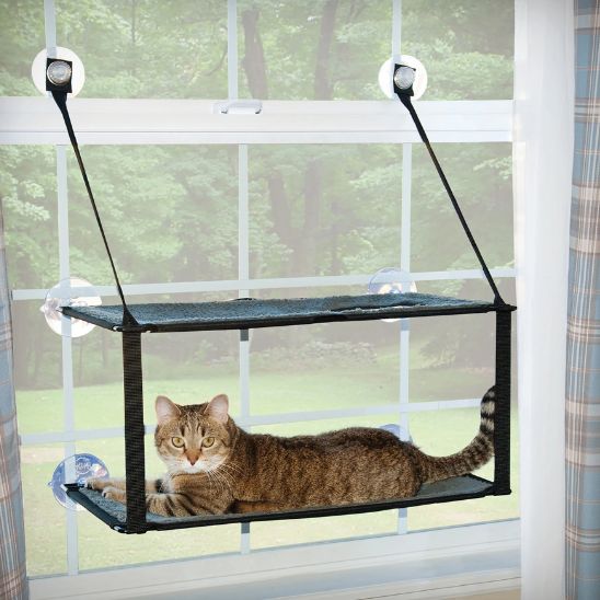 hamac chat fenetre double avec un chat bien installer pouvant regarder dehors