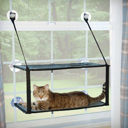 hamac chat fenetre double avec un chat bien installer pouvant regarder dehors