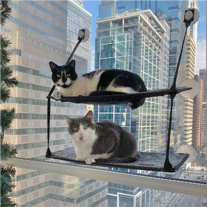 hamac chat fenetre double avec deux chat qui sont très heureux de pouvoir regarder dehors