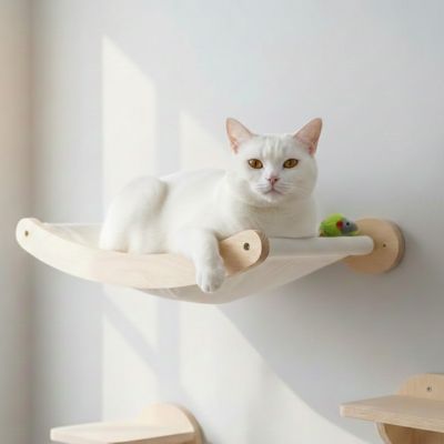 hamac chat accrocher au mure avec un beau chat blanc coucher dessus il est fait de bois massif avec une toile rigide