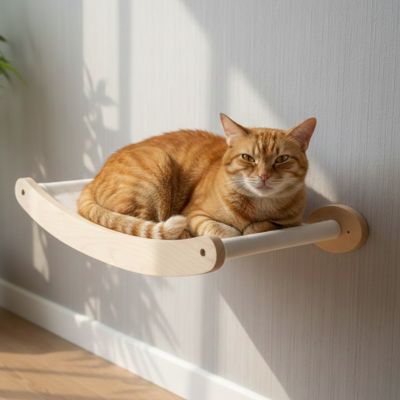 hamac chat installer au mure avec un beau chat roux coucher dessus fait de bois massif et une toile rigide