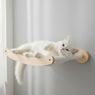 hamac chat accrocher a un mure blanc avec un chat blanc coucher dessus