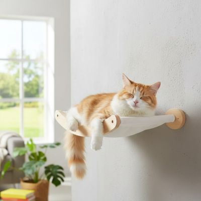 hamac chat accrocher au mure près d'une fenêtre fait de bois massif et d'une toile rigide avec un beau chat roux et blanc coucher dessus