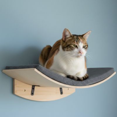hamac pour chat accrocher sur un mur bleu gris avec un chat coucher dessus