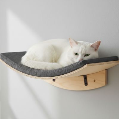 hamac pour chat fixé sur un mur blanc avec un chat blanc coucher bien confortablement dessus