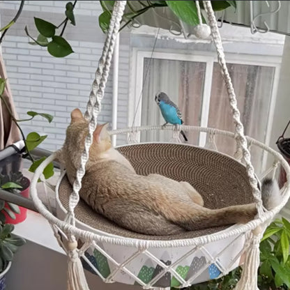 hamac pour chat suspendu dehors tisé en coton blanc avec un chat dedans 