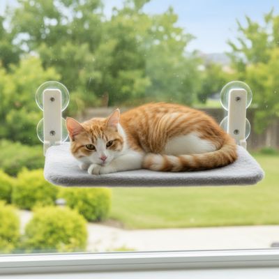 hamac pour chat fenetre de couleur gris avec un chat roux coucher dessus pouvant voir dehors