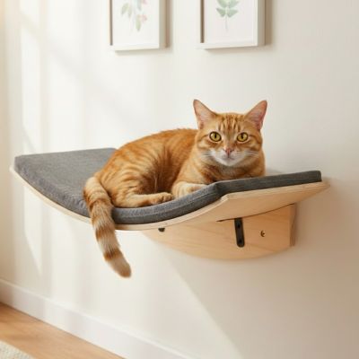 hamac pour chat fixé au mur en forme circulaire avec un petit tapis gris et un chat coucher confortablement dessus