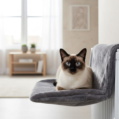 hamac pour chat de couleur gris accrocher à un radiateur avec un siamois qui est bien installer pour sa sieste