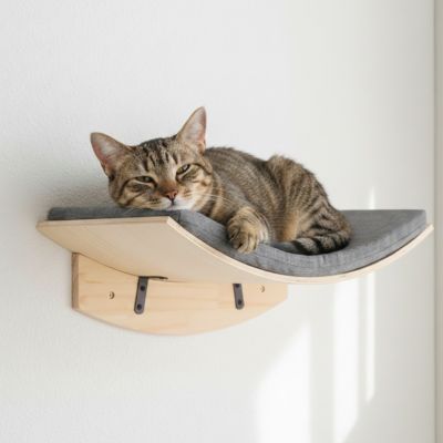 hamac pour chat accrocher au mur avec un beau chat coucher dessus