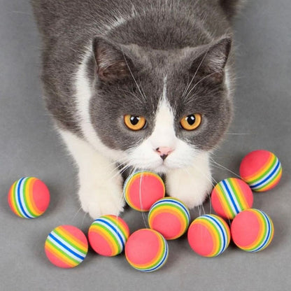 jeux chat avec chat blanc et gris