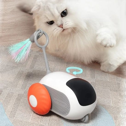 Jeux chat | FélineF1™ - Mon Jolie Chat