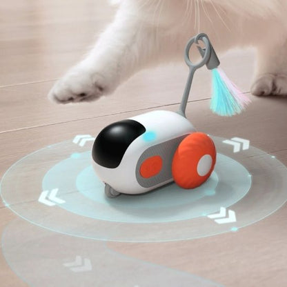 Jeux chat | FélineF1™ - Mon Jolie Chat