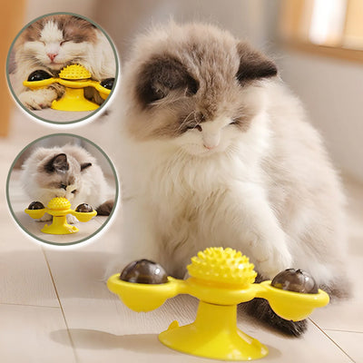 jeux pour chat une source de joie pour nos amis félins