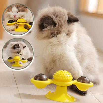 jeux pour chat une source de joie pour nos amis félins