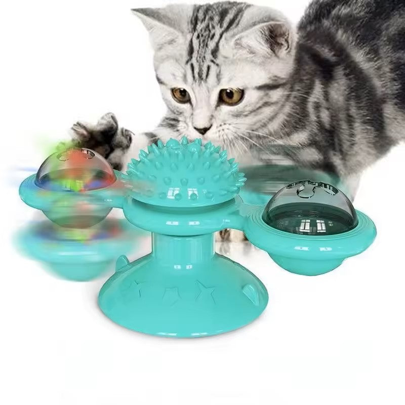 jeux pour chat une source de joie pour nos amis félins