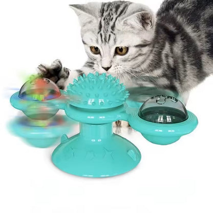 jeux pour chat une source de joie pour nos amis félins