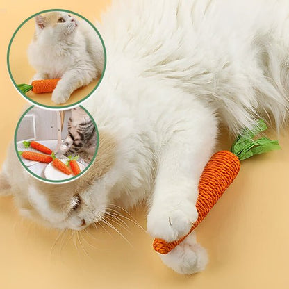 jeux pour chat une source de joie pour nos amis félins