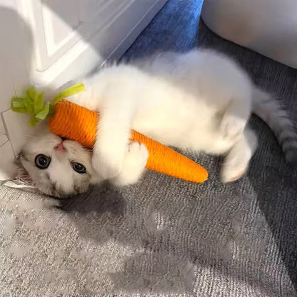 jeux pour chat une source de joie pour nos amis félins