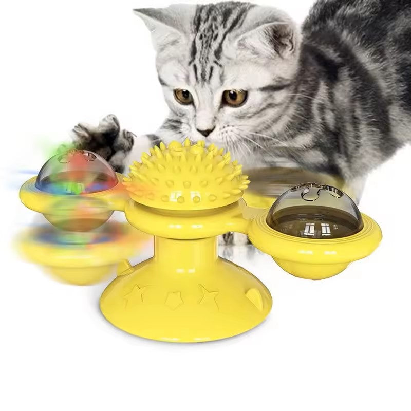 jeux pour chat une source de joie pour nos amis félins