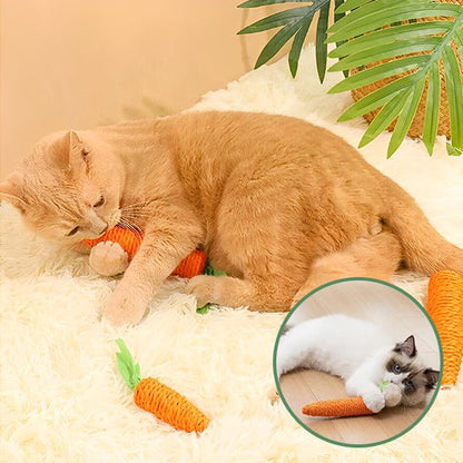 jeux pour chat une source de joie pour nos amis félins