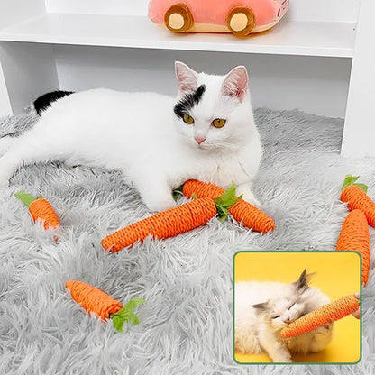 jeux pour chat une source de joie pour nos amis félins