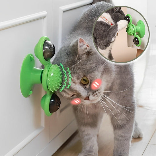jeux pour chat une source de joie pour nos amis félins