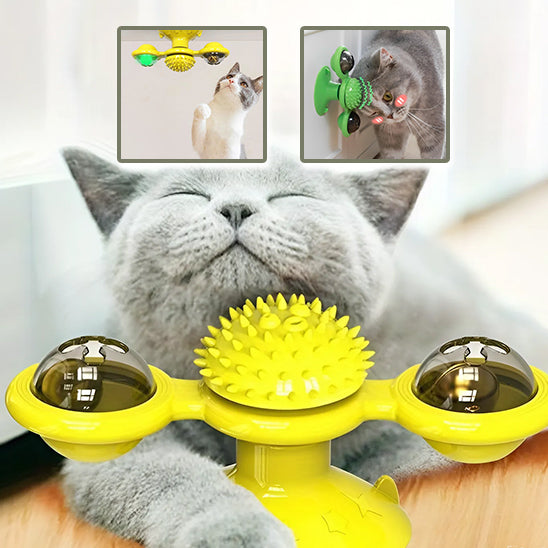 jeux pour chat une source de joie pour nos amis félins