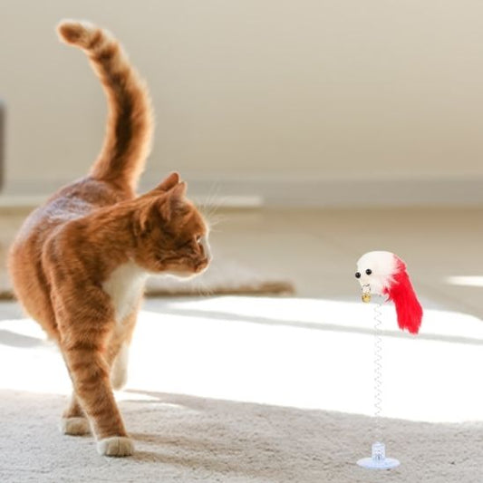 jeux pour chat petite face amusante