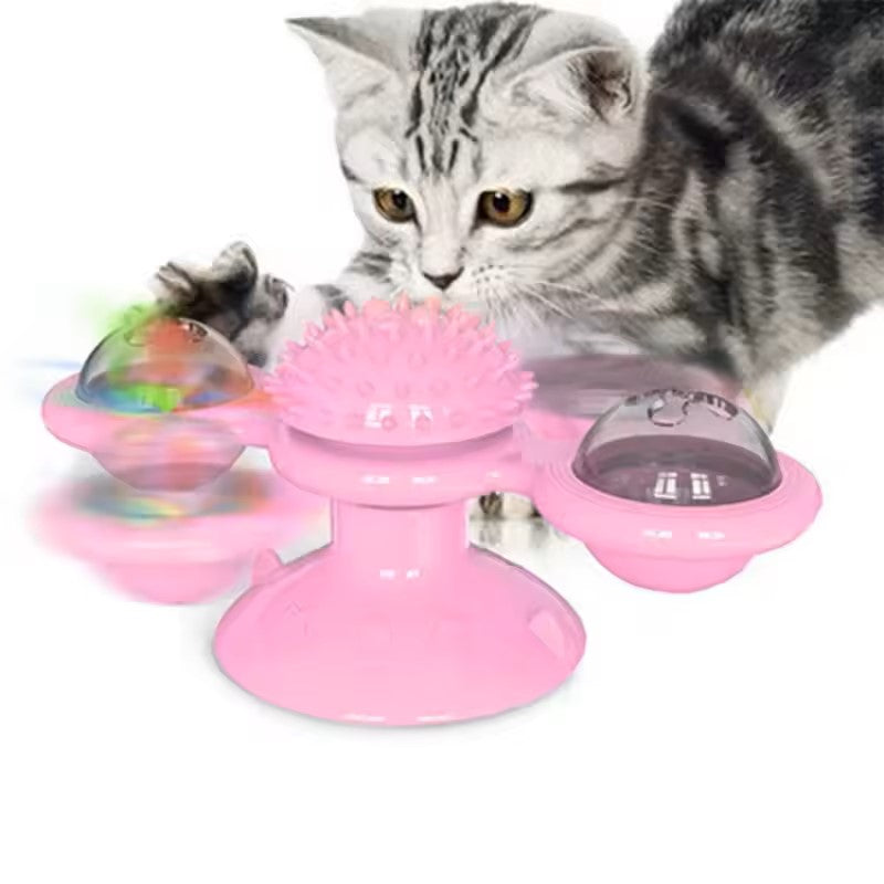 jeux pour chat une source de joie pour nos amis félins