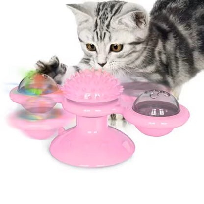 jeux pour chat une source de joie pour nos amis félins