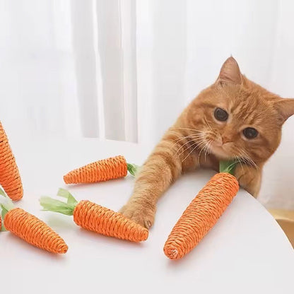 jeux pour chat une source de joie pour nos amis félins