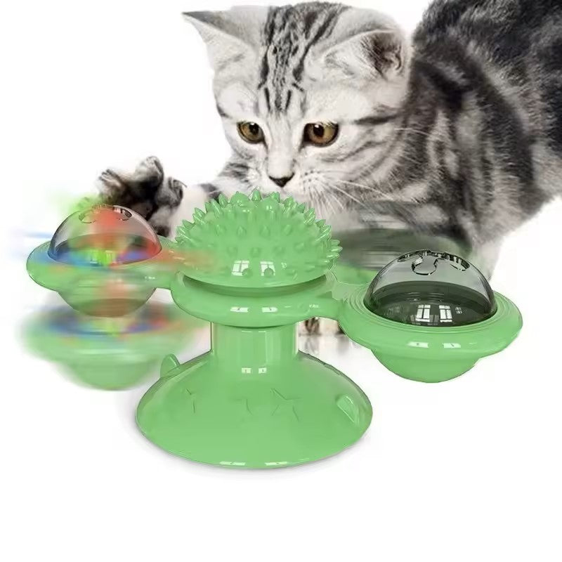 jeux pour chat une source de joie pour nos amis félins