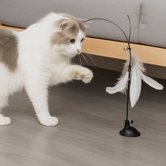 jouet chat avec plume amusante
