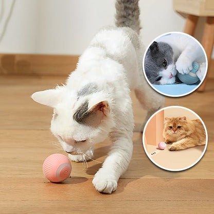 jouet pour chat qui va égayer les journées de votre félin préféré