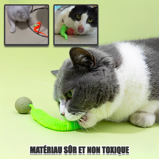 Jouet pour chat | Plume'O'Miaou™