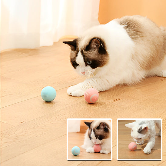 Jouet pour chat | Balle'Active™