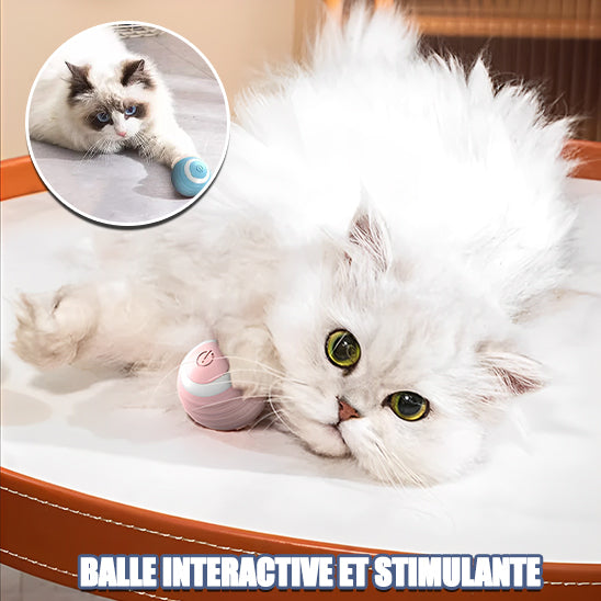 Jouet pour chat | Balle'Active™