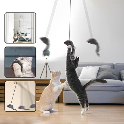jouet pour chat qui va égayer les journées de votre félin préféré