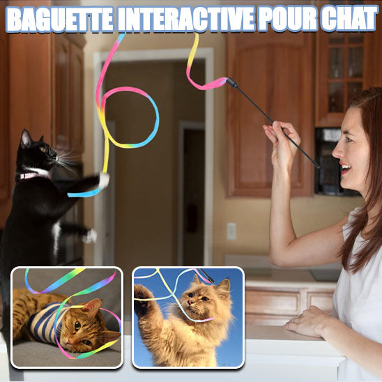 Jouet pour chat | Arc-en-ciel™