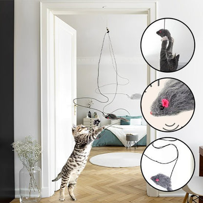 jouet pour chat qui va égayer les journées de votre félin préféré