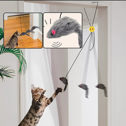 jouet pour chat qui va égayer les journées de votre félin préféré