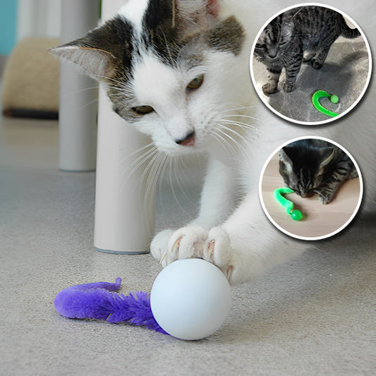 Jouet pour chat | Plume'O'Miaou™