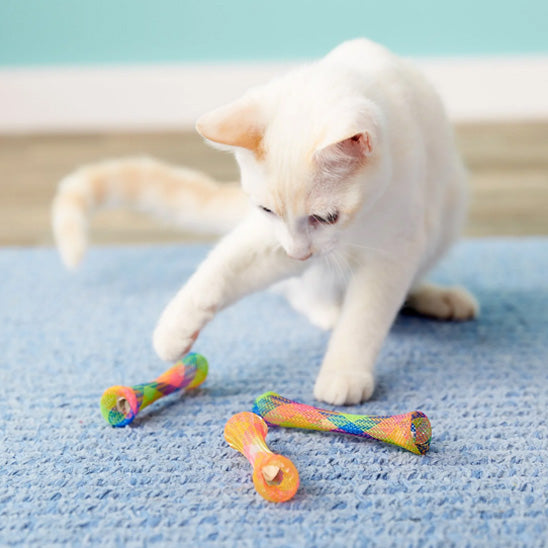 jouets interactifs pour cha tube orange