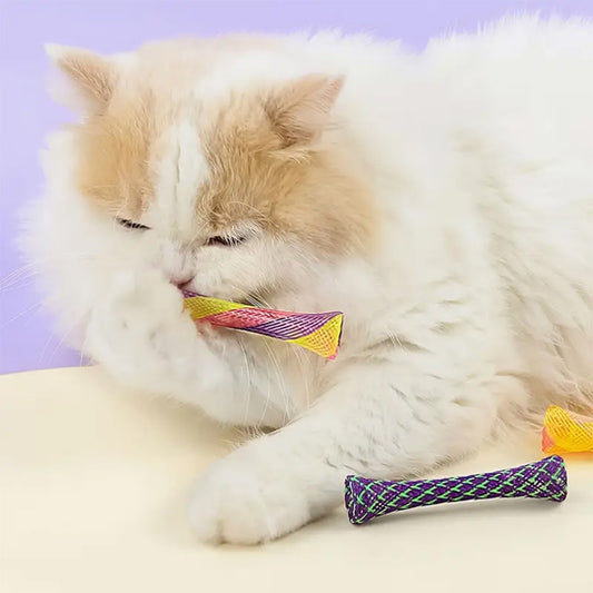 jouets interactifs pour chat tube amusant et unique