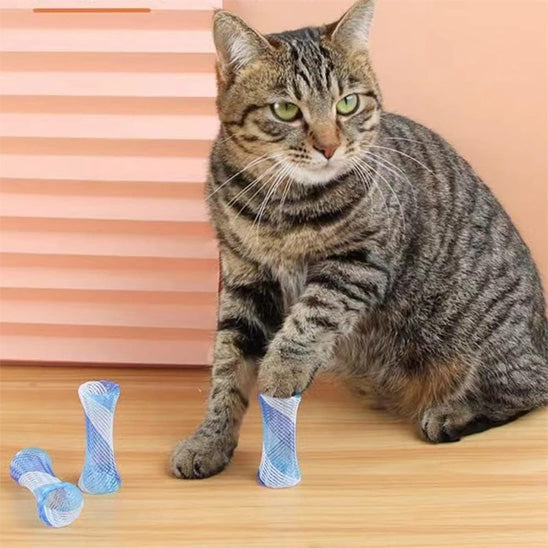 jouets interactifs pour chat tube bleu