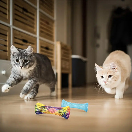 jouets interactifs pour chat tube qui amuse deux chats
