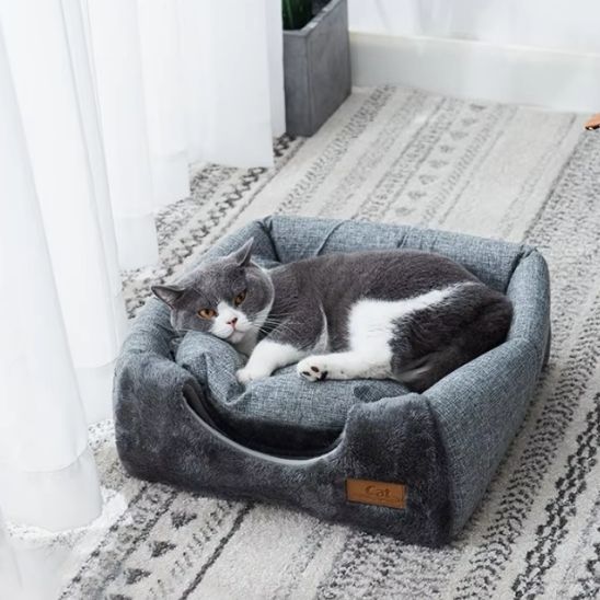lit chat pliable et gris